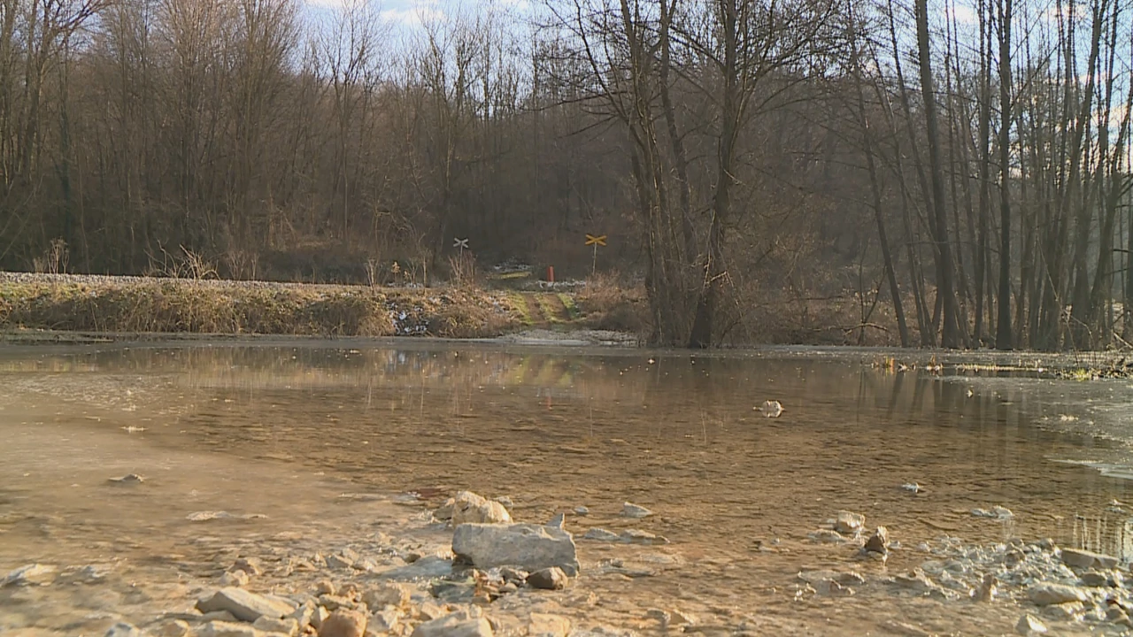 Dabrovi ugrožavaju infrastrukturu, Foto: HTV/HRT