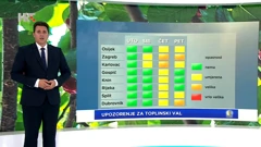 Izidor Pelajić