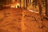 Kalifornija, Foto: David Swanson/Reuters