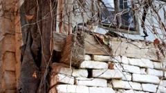 Mačka na balkonu, Foto: Odjel Web i multimedija/HRT