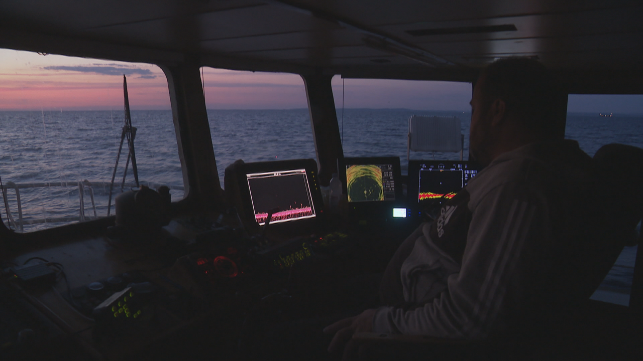 Nedjelja, 12. travnja na Prvom, Foto: Rijeka: More/HRT