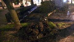 Olujni vjetar čupao je stabla kod željezničke stanice u zagrebačkom naselju Trnava, Foto: Lucija Ocko/CROPIX