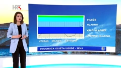 Tomislava Hojsak, Foto: emisija "Vrijeme"/HRT