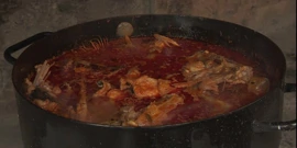 Mljet, smaragd Mediterana, Foto: Mljetski brudet (Foto: Tatjana Rau/Glas Hrvatske)/-