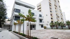 objekt Četiri palme