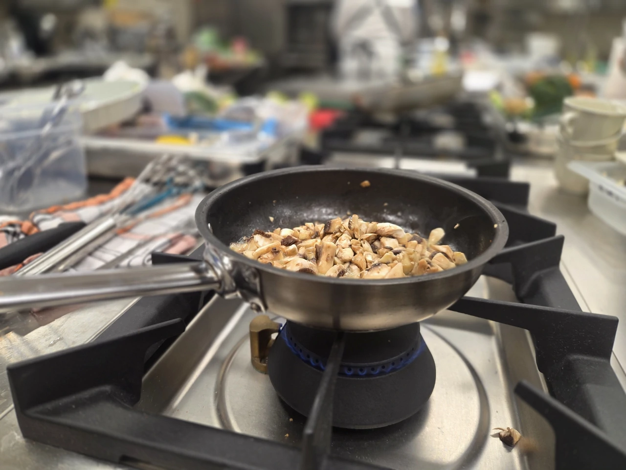 Međužupanijsko natjecanje strukovnih škola u Puli, Foto: Mauro Giorgi/HRT