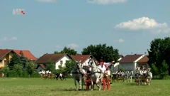 Lipicanci, Foto: Plodovi zemlje/HRT