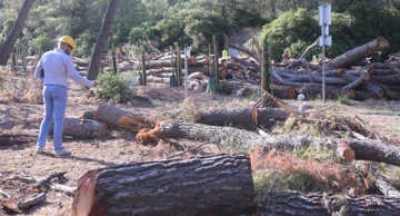 Park šuma Marjan