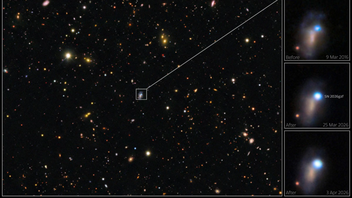 Supernova