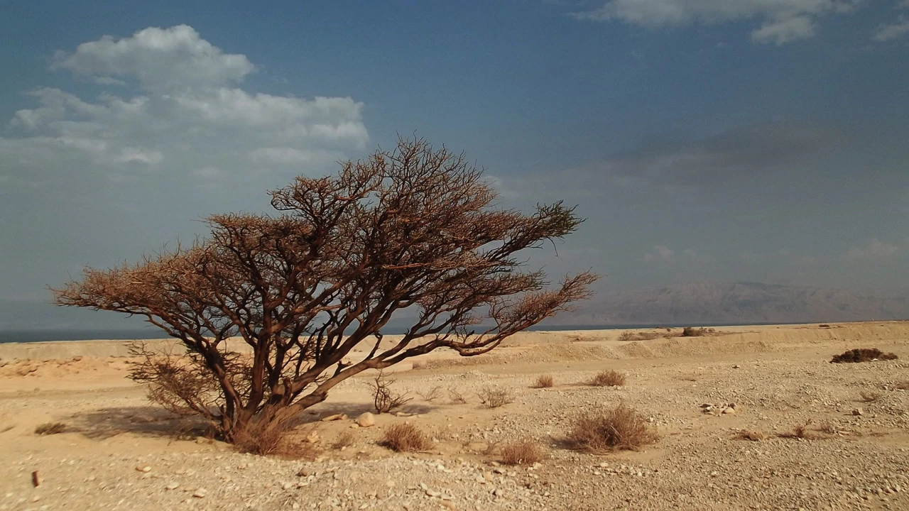 Četvrtak, 4. prosinca na Trećem