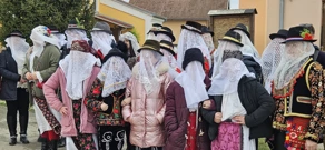 Petaračke buše, Foto: Davor Lončarić/HRT Radio Osijek