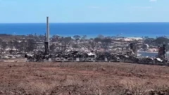 . 93 osobe poginule su u šumskim požarima, ali očekuje se da će broj žrtava rasti 