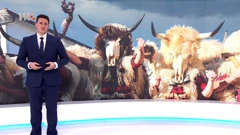 Izidor Pelajić, Foto: HTV/HRT