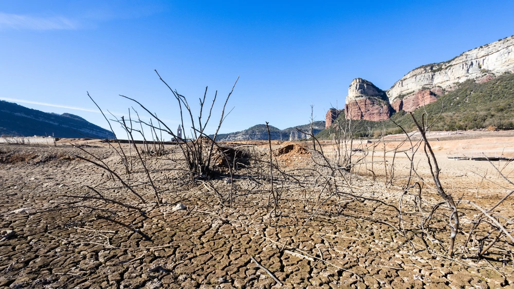COP16 u Rijadu o borbi protiv suše završio bez dogovora