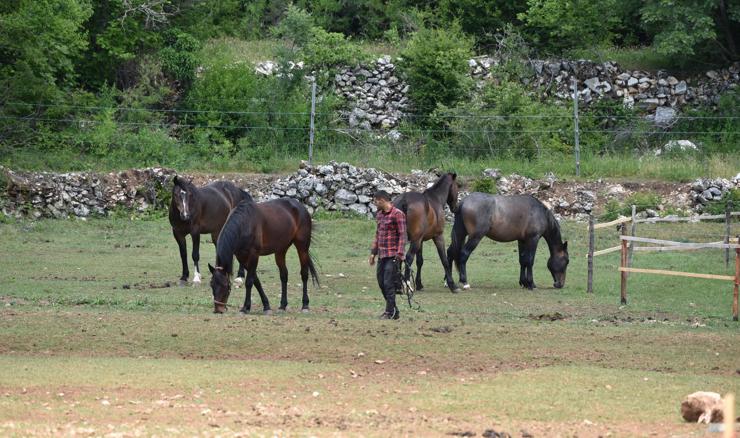 Program potpore za stanovanje u ruralnim područjima