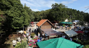 Ilustracija, Učkarski samanj