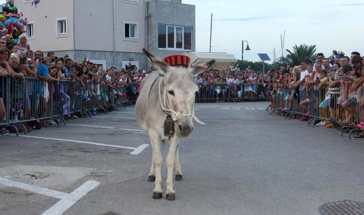 Sve je spremno za 59. Tribunjske magareće trke