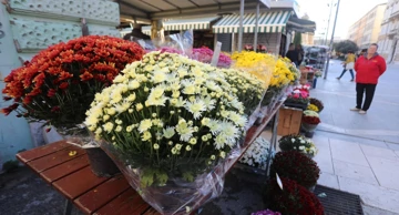 Prodaja krizantema uoči blagdana Svih Svetih