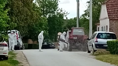 Svinjska kuga u Bolmabu i Jagodnjaku