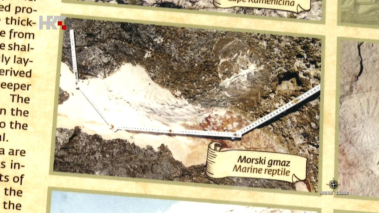 Otisak prapovijesnog guštera