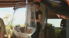 Kušanje vina, vinarija u okolici Novigrada, Foto: Regionalni dnevnik/HTV/HRT