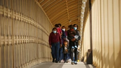 migración