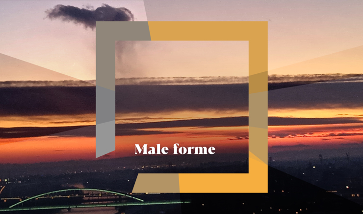 Male forme