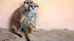 Zagreb ZOO