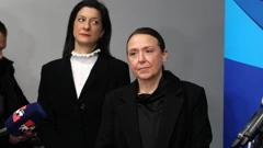 Irena Hrstić