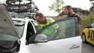 "Žuti anđeli"