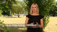 Ivana Čavlina Tomašević, Foto: Plodovi zemlje/HRT