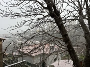 Pogled na Rijeku s Trsatskih stuba, Foto: Matea Krmpotić/Radio Rijeka