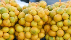 Prodaja mandarina