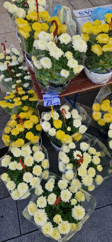 Cvijeće uoči blagdana Svih svetih na riječkoj tržnici, Foto: Rijeka plus/Radio Rijeka