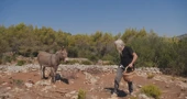 Magareći izmet postao hit