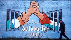 Potpora Palestini u Sjevernoj Irskoj