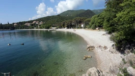  Medveja