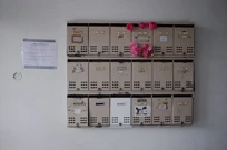 Foto: CVU Batana/ustupljena fotografija, Foto: -/-