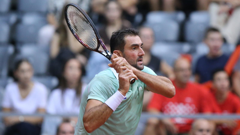 Marin Čilić
