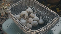 Nedjelja, 8. veljače na Prvom, Foto: Vrtlarica/6. sezona emisije