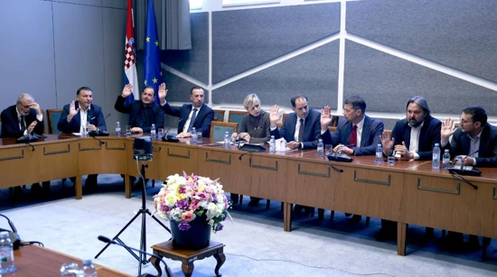 Odbor za Ustav, Poslovnik i politički sustav