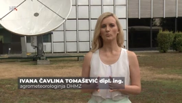 Ivana Čavlina Tomašević