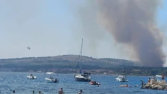 Požar na otoku Viru
