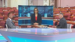 Hrvoje Zekanović, Marijana Puljak i Petar Vlahov
