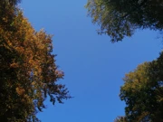 Park šuma Jankovac, Foto: -/-