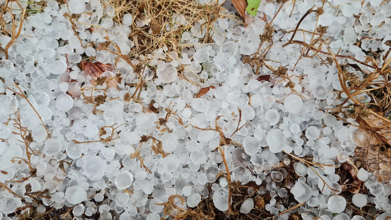 Tuča u Žminju, Foto: Klara Dujmović/HRT