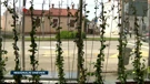 Pula ozelenjuje autobusne stanice