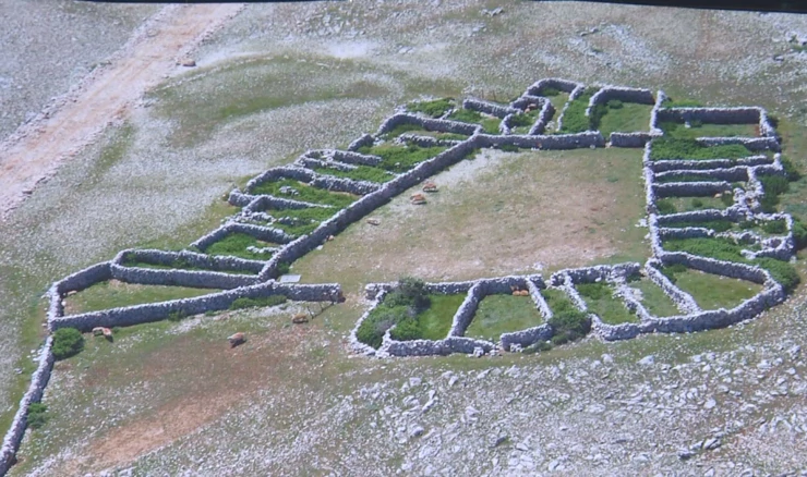 Kameni cvjetovi Baške