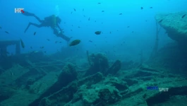 Groblje brodova pokraj Palagruže