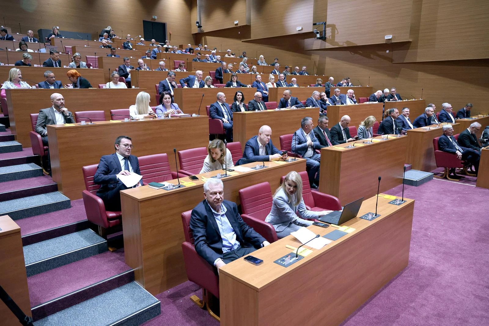 Sabor o javnoj nabavi i nasilnom ponašanju djece
